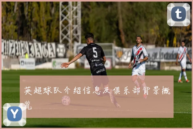 英超球队介绍信息及俱乐部背景概览